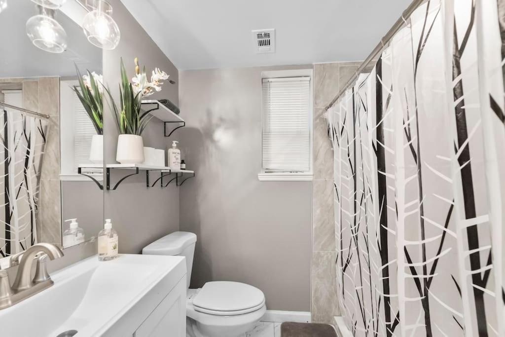 Elegant 1-Br Apartment Silver Spring Exterior photo